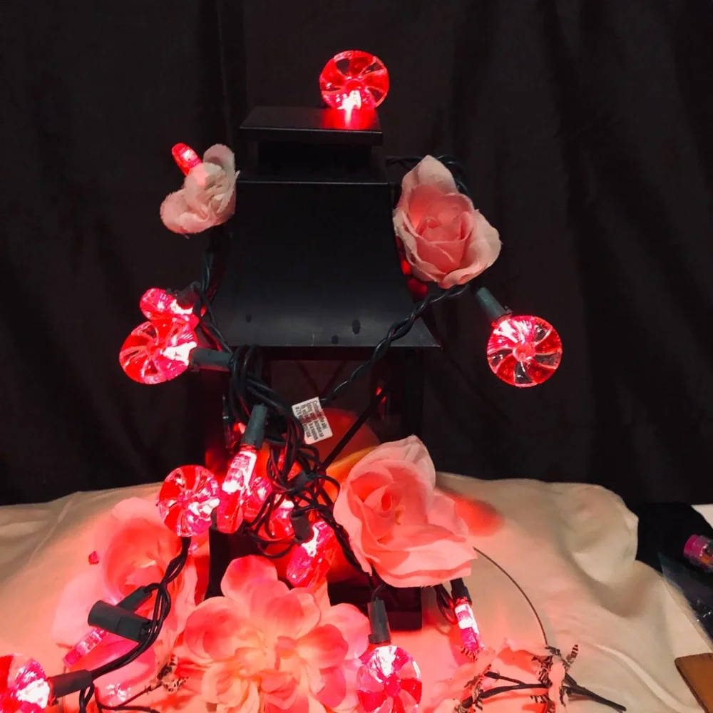 Vintage Decorative Red String Lights